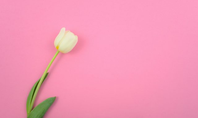 満室の窓口セミナーに弊社代表取締役宮島が登壇しました！！